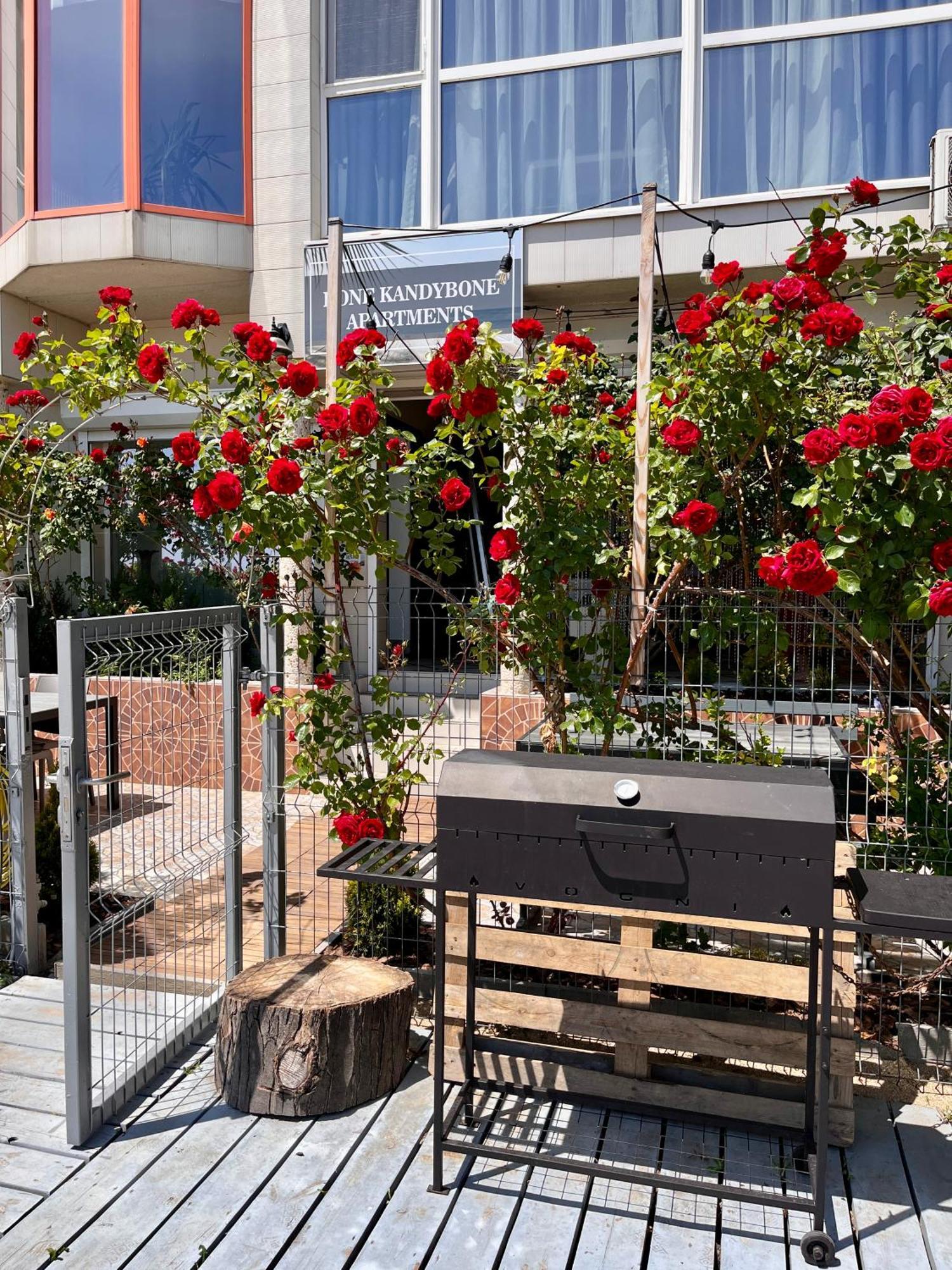 Done Kandybone Apartments Odessa Zewnętrze zdjęcie